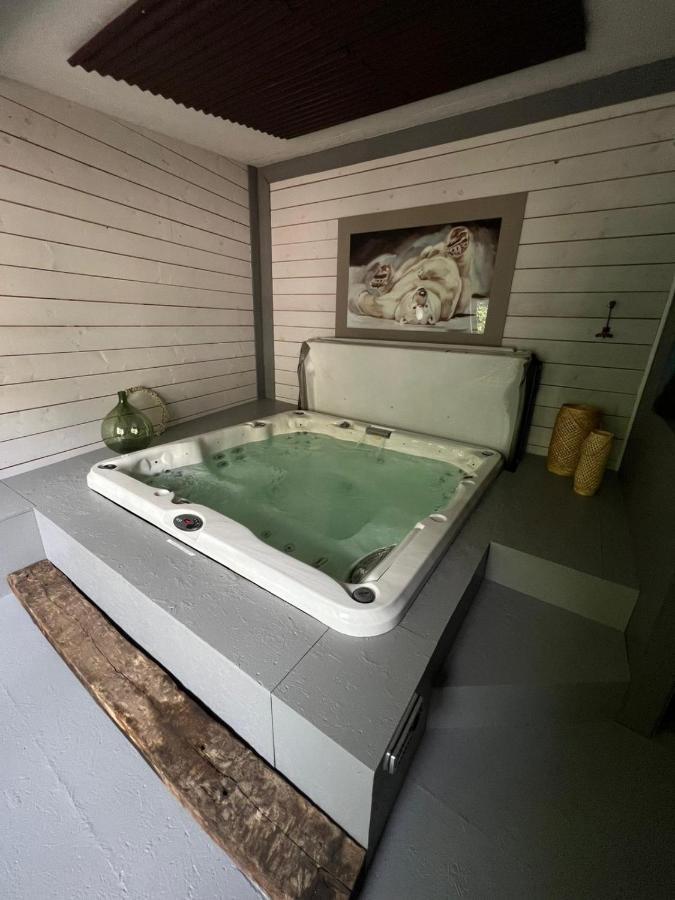 Les Chambres De Pauline Appartements Avec Climatisation Et Spa Albertville Dış mekan fotoğraf